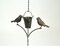 78 Inch Metal Rain Chain Decorative Bird Patio Decor Garden Accent Hanging Art